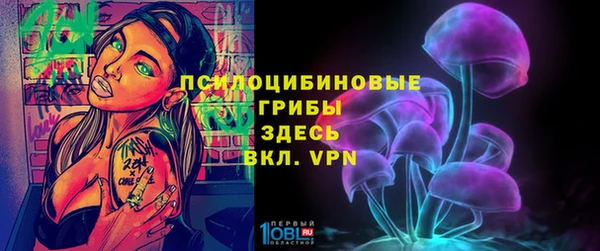 прущая мука Дмитриев