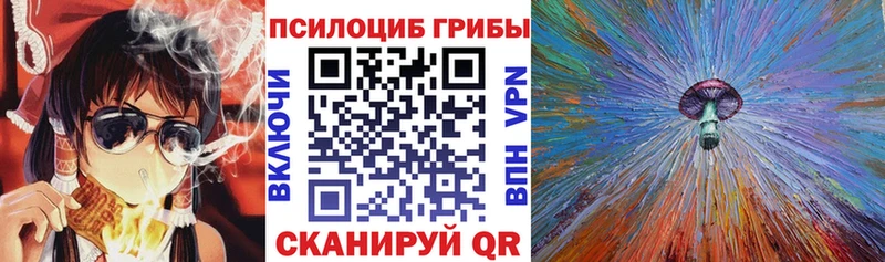Псилоцибиновые грибы Cubensis  что такое   kraken маркетплейс  Кораблино 